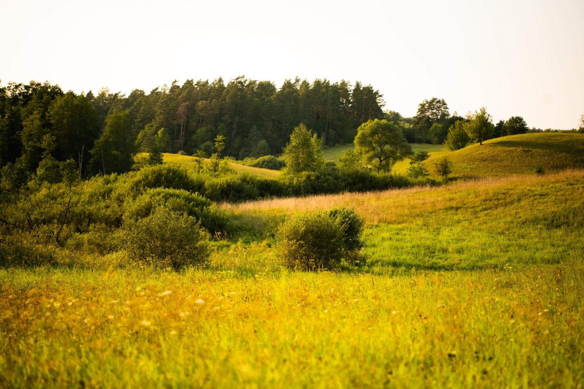 Mazurskie Chatki Mrągowo Exterior photo